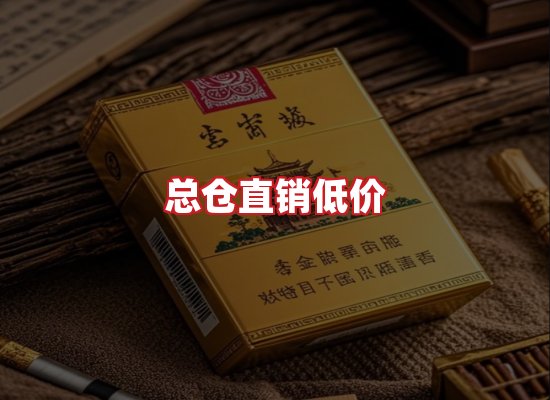专业团队